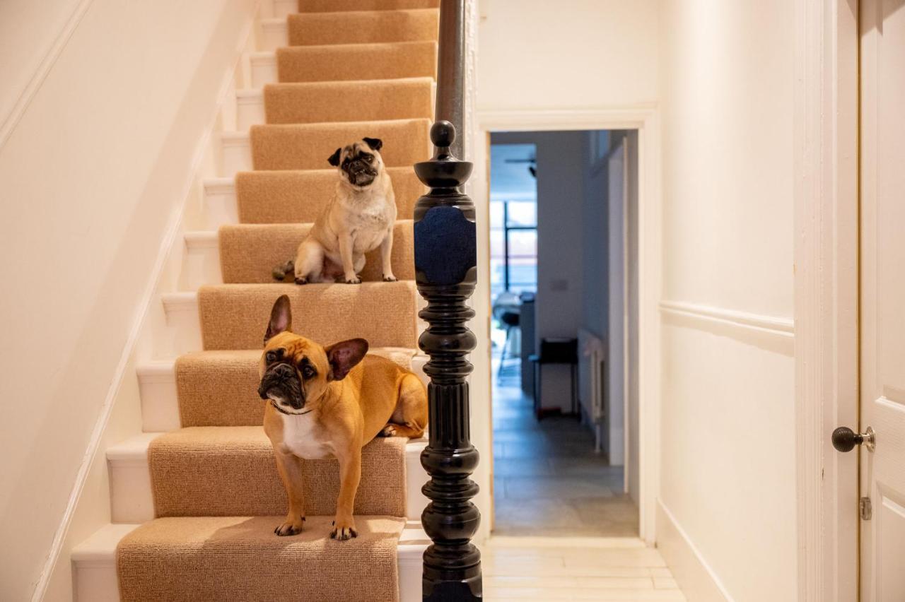 Doghouse Margate Bed & Breakfast エクステリア 写真