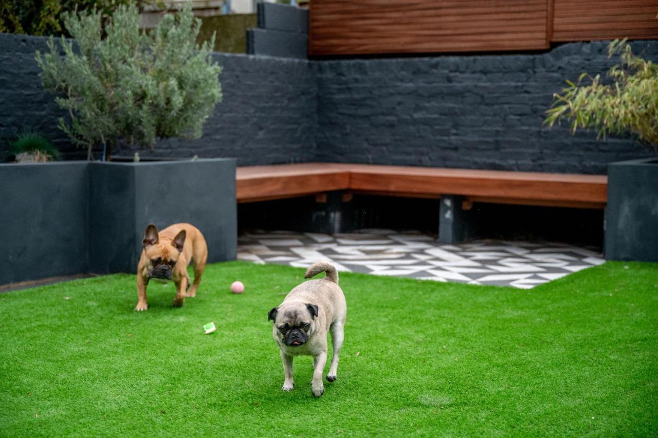Doghouse Margate Bed & Breakfast エクステリア 写真